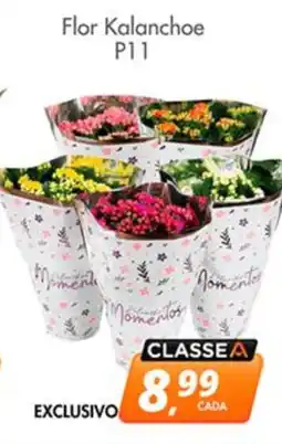 Delta Supermercados Flor Kalanchoe P11 oferta