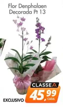 Delta Supermercados Flor Denphalaen Decorada Pt 13 oferta
