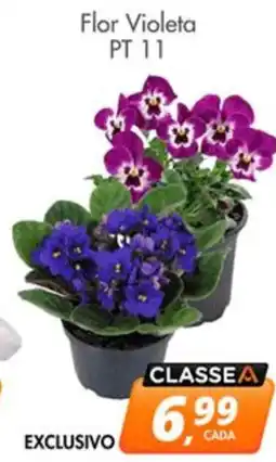 Delta Supermercados Flor Violeta PT 11 oferta