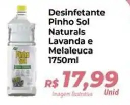 Hiper Moreira Desinfetante Pinho Sol Naturals Lavanda e Melaleuca oferta