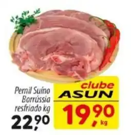 Asun Pernil Suino Borrússia resfriado oferta