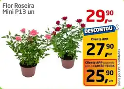 Flor Roseira Mini P13 un
