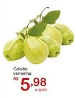 Goiaba vermelha