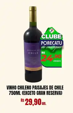 Supermercado Porecatu Vinho chileno paisajes de chile oferta
