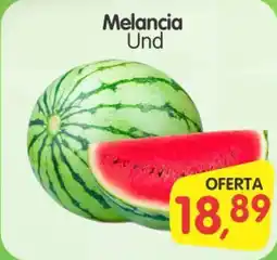 Cercadão Melancia Und oferta