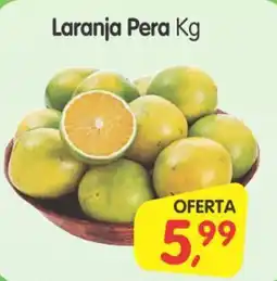 Cercadão Laranja Pera oferta