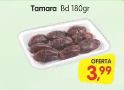 Cercadão Tamara Bd oferta