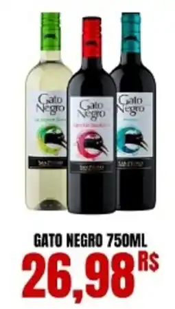 Gato negro