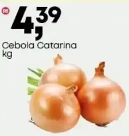 Frangolândia Cebola Catarina oferta