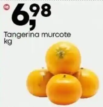 Frangolândia Tangerina murcote oferta