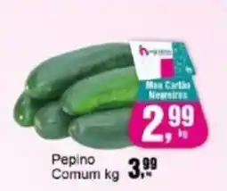 Negreiros Pepino Comum oferta
