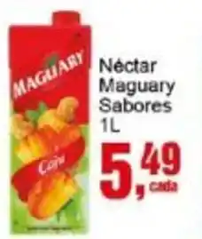 Negreiros Néctar Maguary Sabores oferta