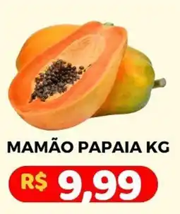 Mamão papaia