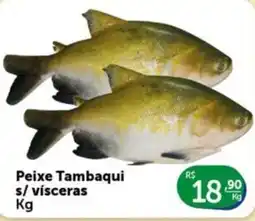 Pires Peixe Tambaqui s/ vísceras oferta