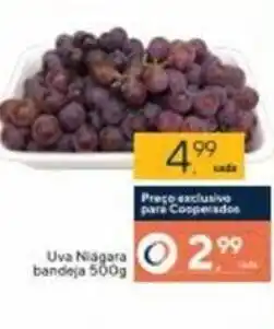 Coop Uva Niagara bdj. 500g oferta