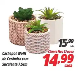 Cachepot Wolff de Cerâmica com Suculenta