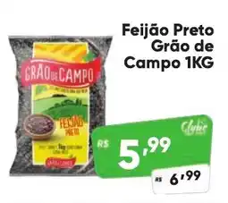 Feijão Preto Grão de Campo