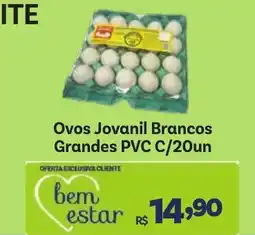 Ovos Jovanil Brancos Grandes PVC C/20un