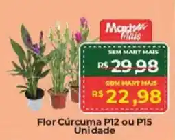 Mart Minas Flor Cúrcuma P12 ou P15 Unidade oferta