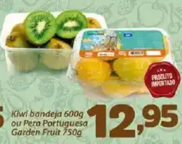 Kiwi bandeja ou Pera Portuguesa Garden Fruit