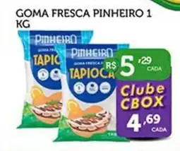 Goma fresca pinheiro 1