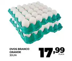 Fort Atacadista Ovos branco grande oferta