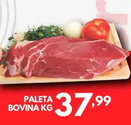 Paleta bovina