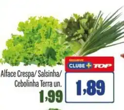 Rede Top Alface Crespa/Salsinha/ Cebolinha Terra un oferta