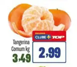 Rede Top Tangerina Comum oferta