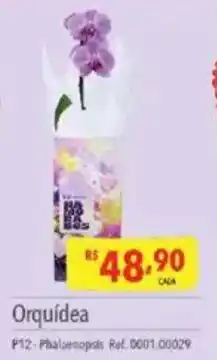 Supermercados Condor Orquídea oferta