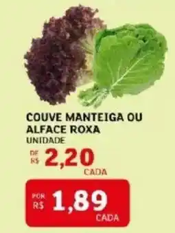 Couve manteiga ou alface roxa