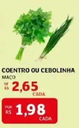 Coentro ou cebolinha