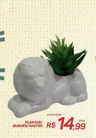 Plantas