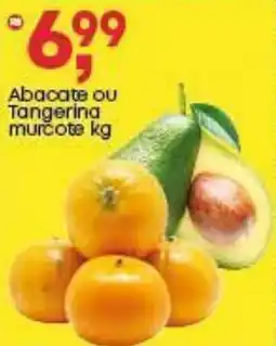 Frangolândia Abacate ou Tangering murcote oferta