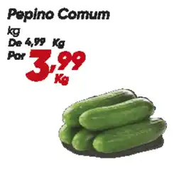 Dia Pepino Comum oferta