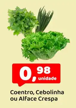 Mineirão Atacarejo Coentro, Cebolinha ou Alface Crespa oferta