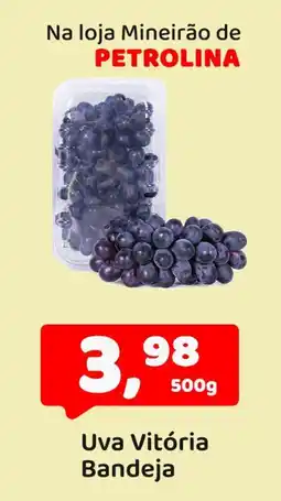 Mineirão Atacarejo Uva Vitória Bandeja oferta