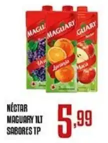 Bom Dia Nectar maguary sabores tp oferta