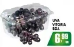 Uva vitoria bdj.