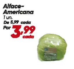 Alface- Americana