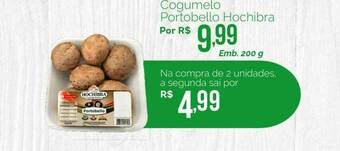 Cogumelo Portobello Hochibra