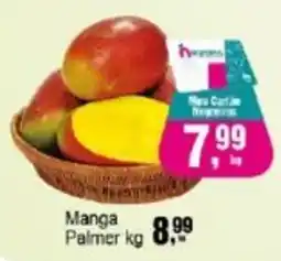 Negreiros Manga Palmer oferta