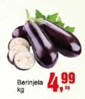 Negreiros Berinjela oferta