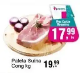 Negreiros Paleta Suína Cong oferta