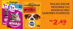 Lider Atacadista Racao sache pedigree ou whiskas sabores diversos oferta