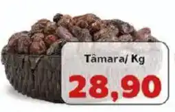 Tâmara