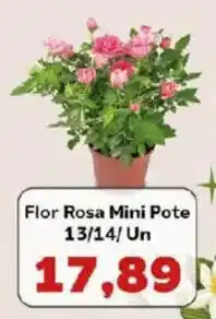 Supermercados Tauste Flor Rosa Mini Pote 13/14 Un oferta