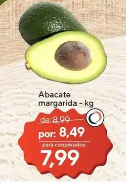 Coop Abacate margarida oferta
