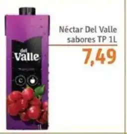 Sonda Néctar Del Valle sabores TP oferta