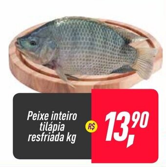 Frangolândia Peixe Inteiro Tilapia resfriada 1kg oferta